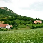 Csobánc Szerelem-nemzeti Park-önalló Ház - Klimatizált Nyaraló Gyulakeszi