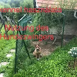 Csobánc Szerelem-nemzeti Park-önalló Ház - Klimatizált * Gyulakeszi