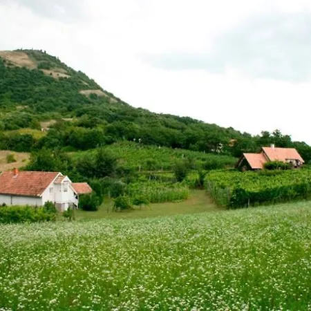 Csobanc Szerelem-nemzeti Park-oenallo Haz - Klimatizalt Dom wakacyjny Gyulakeszi
