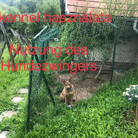 Csobanc Szerelem-nemzeti Park-oenallo Haz - Klimatizalt * Gyulakeszi