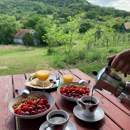 Csobanc Szerelem-nemzeti Park-oenallo Haz - Klimatizalt * Gyulakeszi