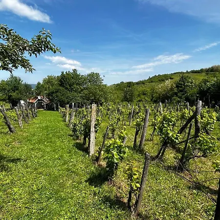 Csobanc Szerelem-nemzeti Park-oenallo Haz - Klimatizalt Dom wakacyjny Gyulakeszi