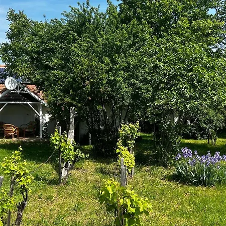 Csobanc Szerelem-nemzeti Park-oenallo Haz - Klimatizalt Gyulakeszi