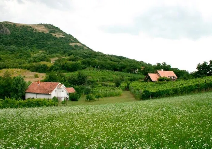 Csobanc Szerelem-nemzeti Park-oenallo Haz - Klimatizalt בית נופש Gyulakeszi