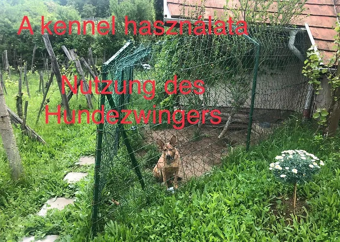 Csobanc Szerelem-nemzeti Park-oenallo Haz - Klimatizalt * Gyulakeszi