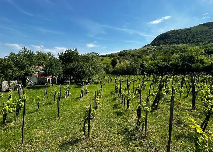 Csobanc Szerelem-nemzeti Park-oenallo Haz - Klimatizalt