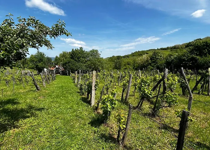Csobanc Szerelem-nemzeti Park-oenallo Haz - Klimatizalt בית נופש Gyulakeszi